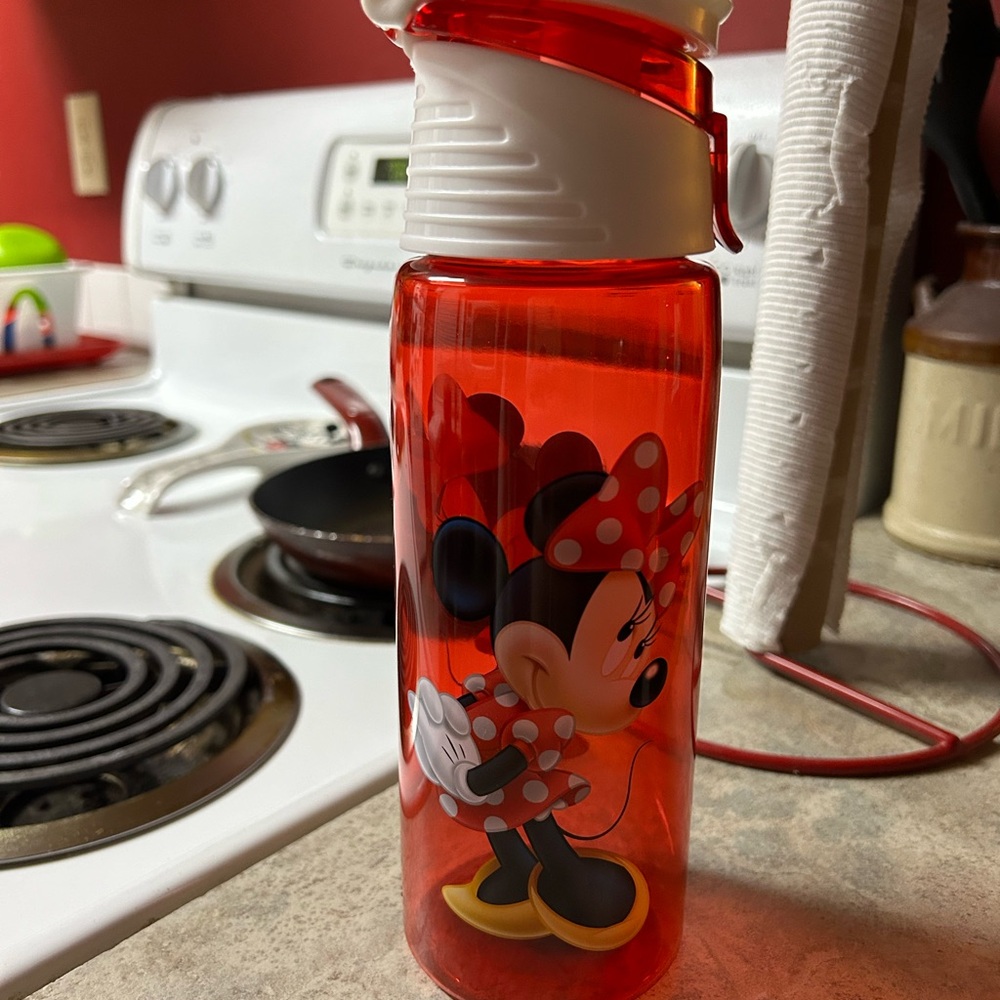 Disney’s Minnie Mouse Water Bottle
